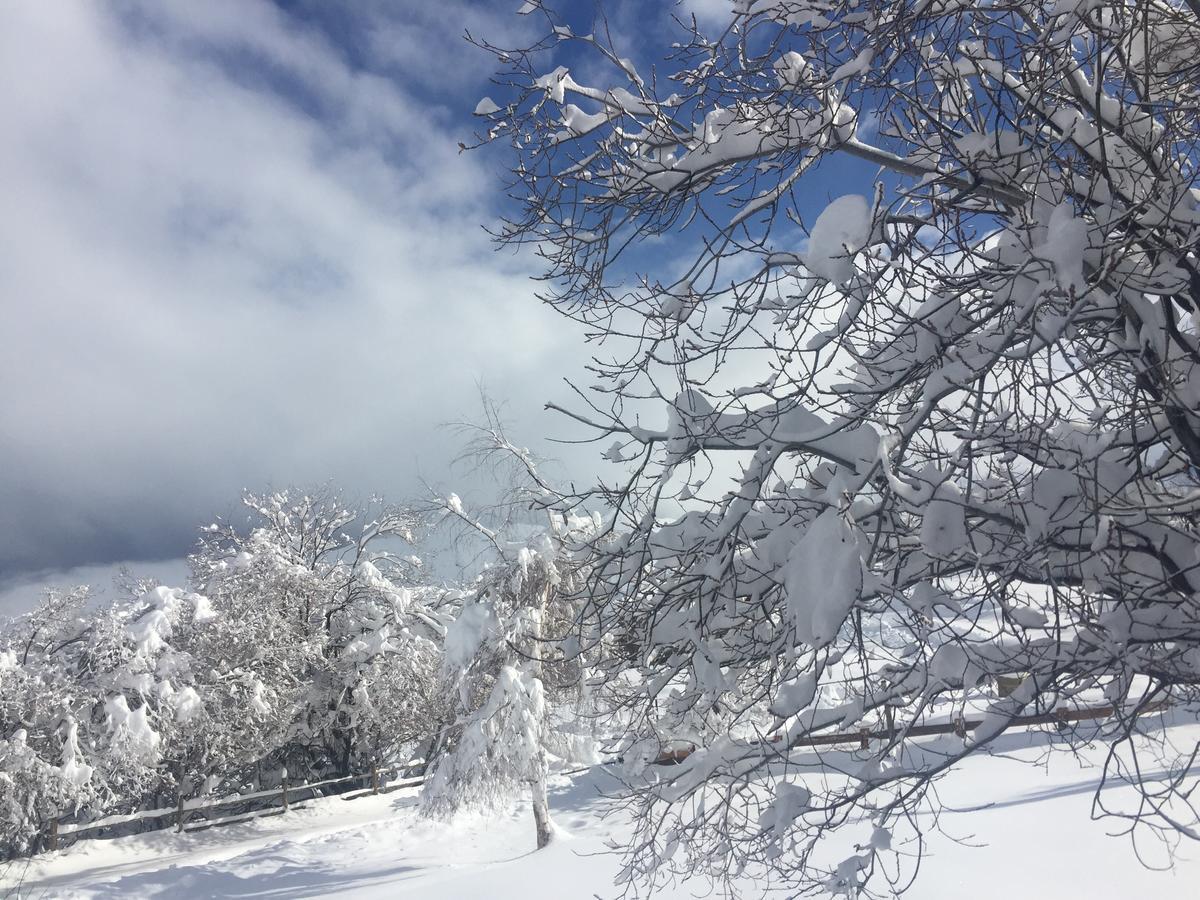 Loma Del Viento Villa Farellones Dış mekan fotoğraf